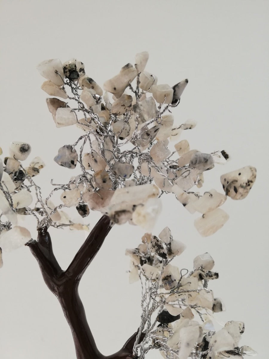 Rainbow Moonstone Tree - Large - 020 Rainbow Moonstone Tree - Large - 020